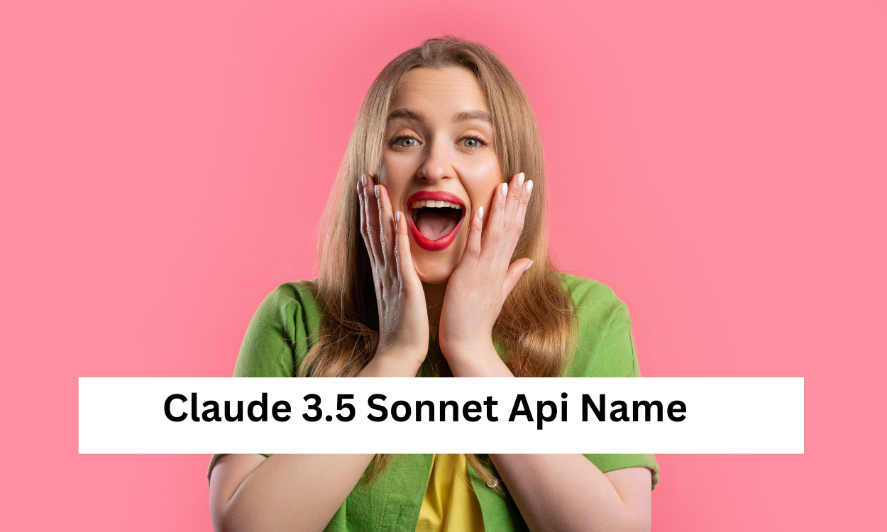 Claude 3.5 Sonnet Api